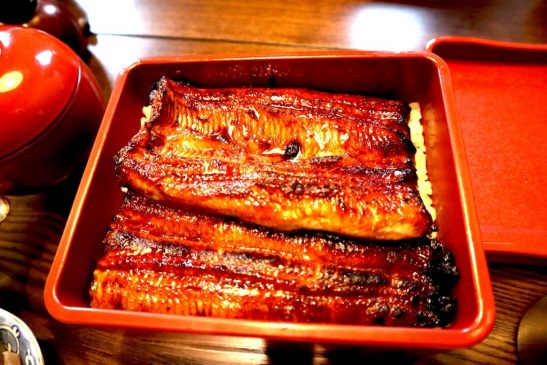 Enjoy “Unagi” at Narita on your smartphone –  Discount ticket released from Keisei