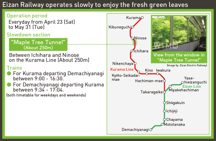 Eizan Railway operates slowly to enjoy the fresh green leaves