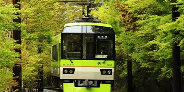 Fresh green “Maple Tree Tunnel” in Kyoto – Eizan Railway slow down until the end of May