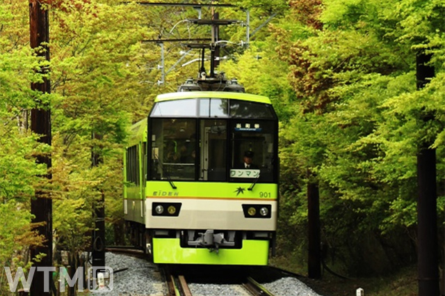 Eizan Electric Railway's "Aomomiji Kirara" type 900 sightseeing train running between Ichihara and Ninose (Image by: Eizan Electric Railway)