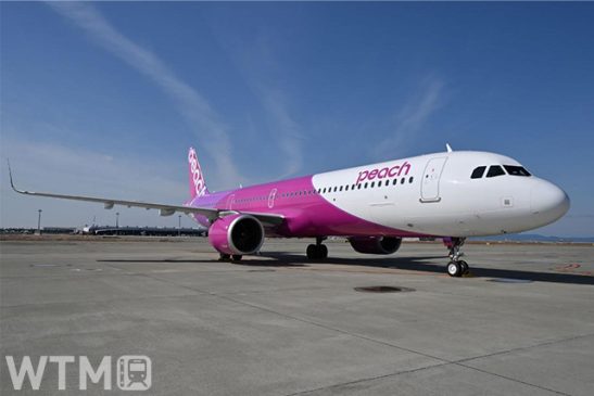 Peach’s international flights revives on August – “Osaka-Seoul” route is ready to restart