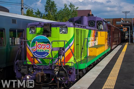 Go to see the blooming flowers in Hokkaido – Special tourism trains run for Furano & Biei
