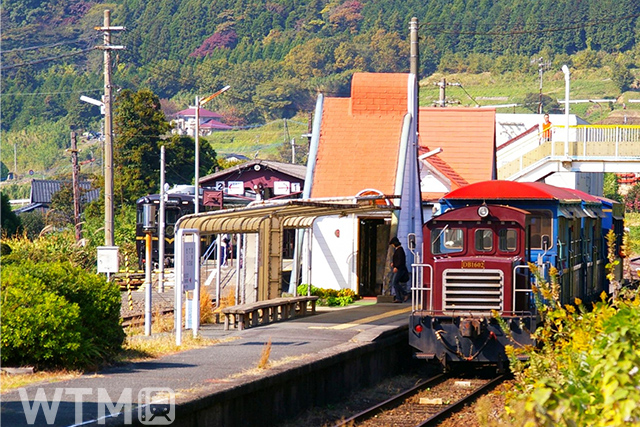 Minamiaso Railway type DB16 diesel rocomotive pulling Torokko train "YUSUGE-GO" stopping at Tateno Station (キャラメルhanabi/PhotoAC)