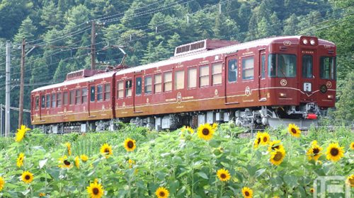 Fujisanroku Electric Railway's 1000 series "Fuji Tozan Railway" used for the event train "Fujiyama Beer" (Courtesy of Fujisanroku Electric Railway)