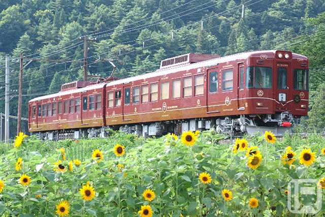 Fujisanroku Electric Railway's 1000 series "Fuji Tozan Railway" used for the event train "Fujiyama Beer" (Courtesy of Fujisanroku Electric Railway)